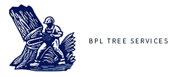 BPL Tree Services